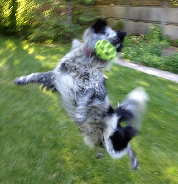 Rooooooby!!!